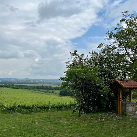 Сasa de vacaciones Sárkányok Háza Balaton - House Of Dragons With Jakuzzi Raposka