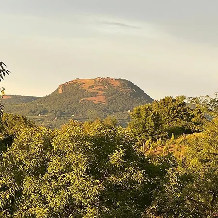 Sarkanyok Haza Vendeghaz - House Of Dragons Raposka