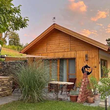 Sarkanyok Haza Vendeghaz Balaton - House Of Dragons With Jakuzzi