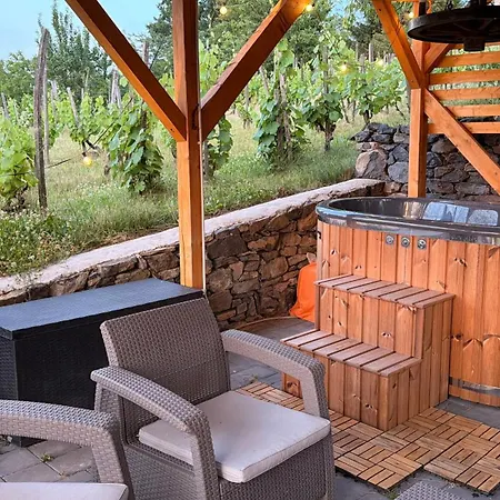 Сasa de vacaciones Sárkányok Háza Balaton - House Of Dragons With Jakuzzi *